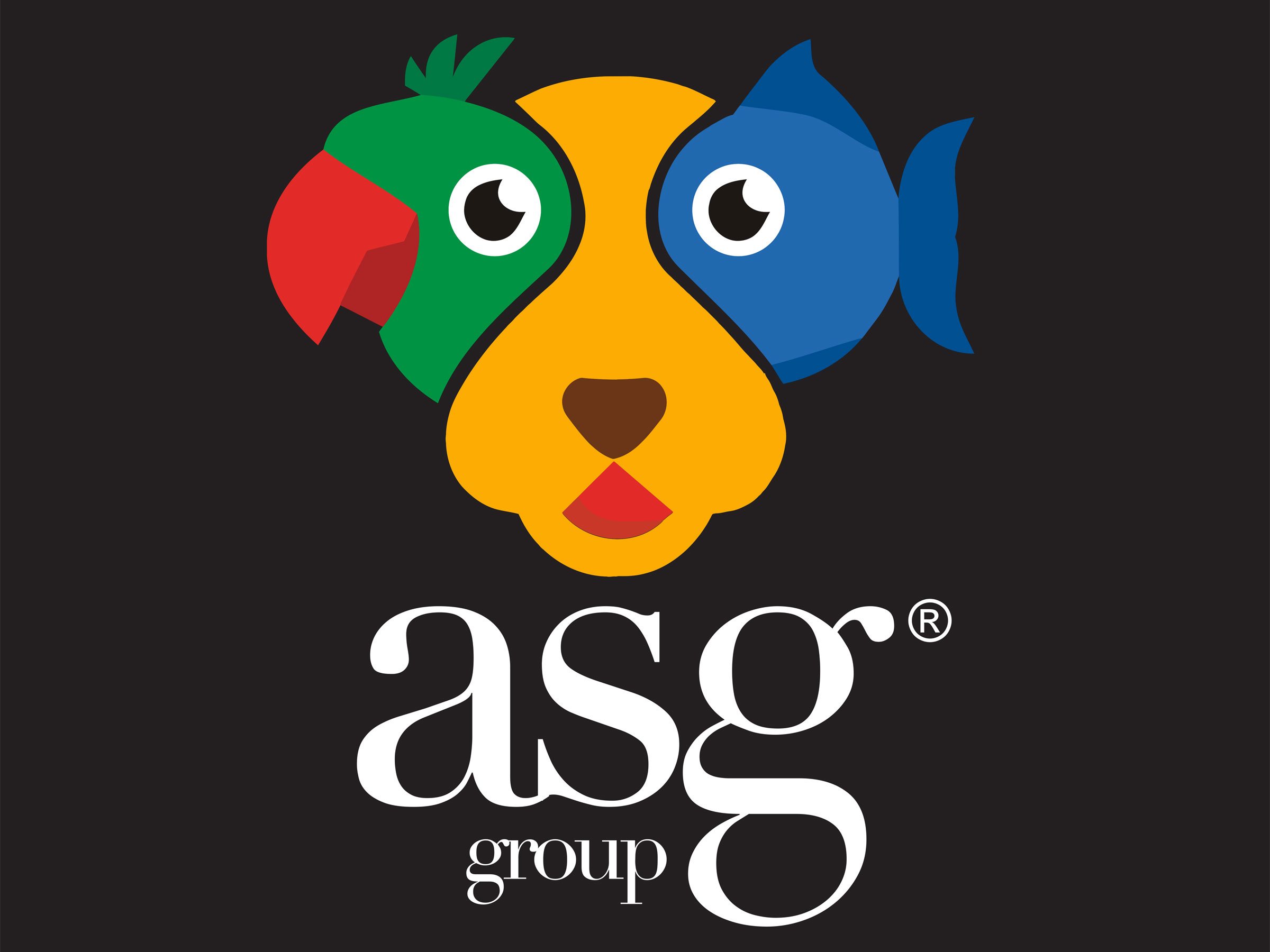 ASG GROUP